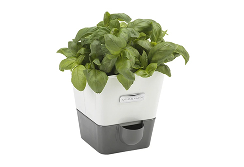 worthington-gift-guide-2021-cole-and-mason-self-watering-herb-keeper-498×335